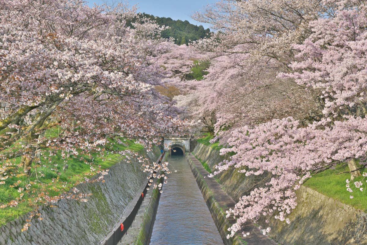 🏞️ 비와호 제1 수로(비와코 다이이치 소스이) 이미지 4